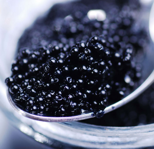 extracto de caviar cremas antiage
