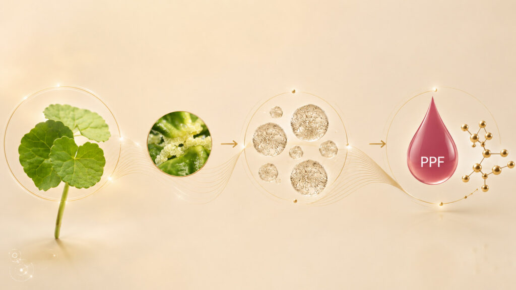 Tecnología vegetal avanzada rica en exosomas y péptidos